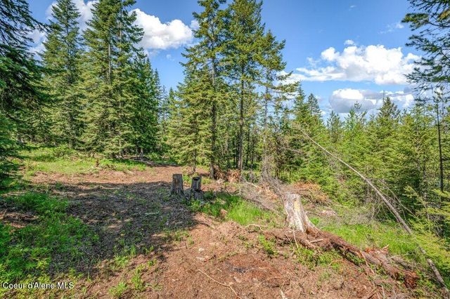 3183 Eastside RD, Priest River, ID 83856