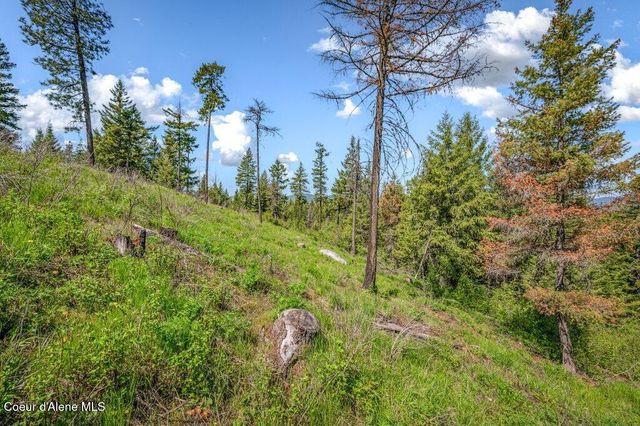 3183 Eastside RD, Priest River, ID 83856