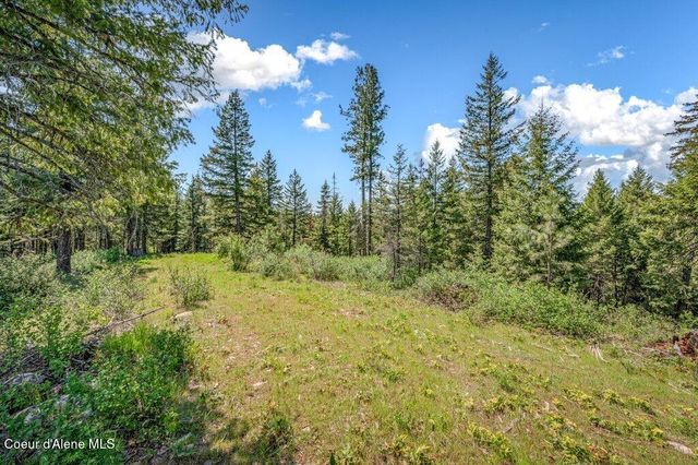 3183 Eastside RD, Priest River, ID 83856