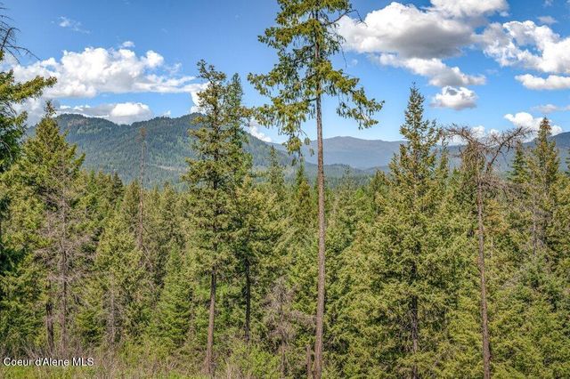 3183 Eastside RD, Priest River, ID 83856