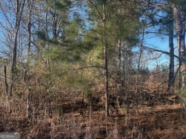 4381 Nessmith Road, Statesboro, GA 30458