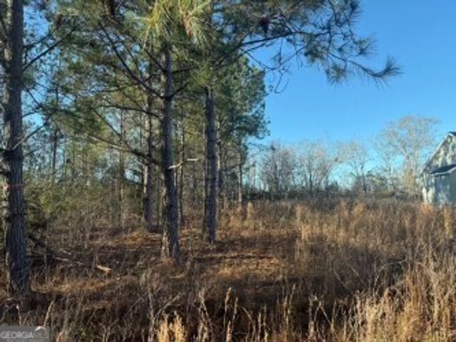 4381 Nessmith Road, Statesboro, GA 30458