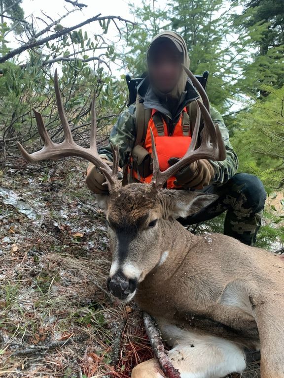 Nhn Bulls & Bucks Ranch, Plains, MT 59859 photo 106