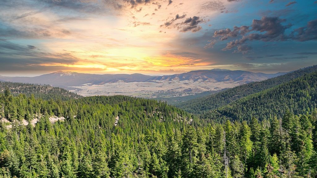Nhn Bulls & Bucks Ranch, Plains, MT 59859 photo 11