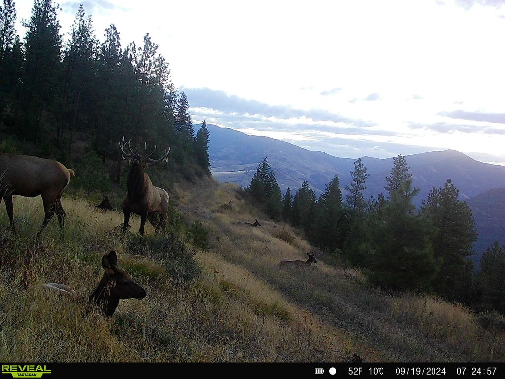 Nhn Bulls & Bucks Ranch, Plains, MT 59859 photo 12