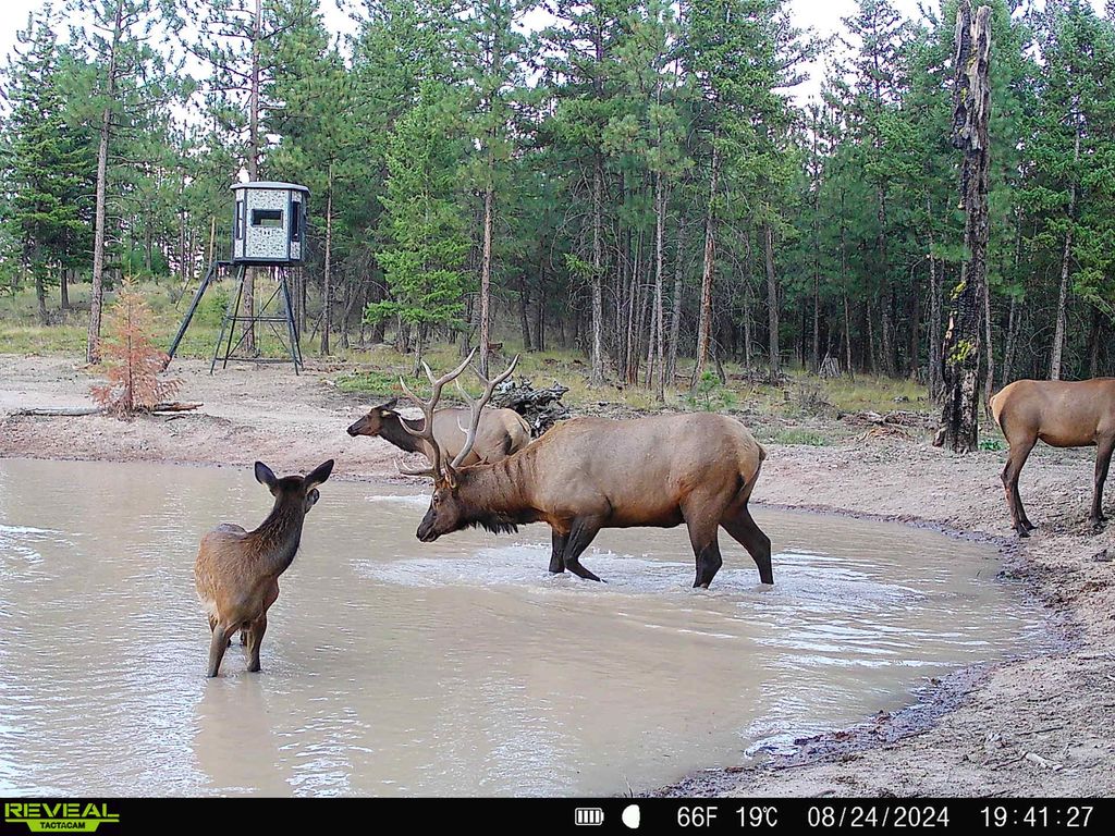 Nhn Bulls & Bucks Ranch, Plains, MT 59859 photo 13