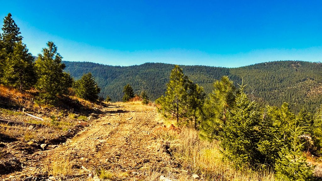 Nhn Bulls & Bucks Ranch, Plains, MT 59859 photo 62