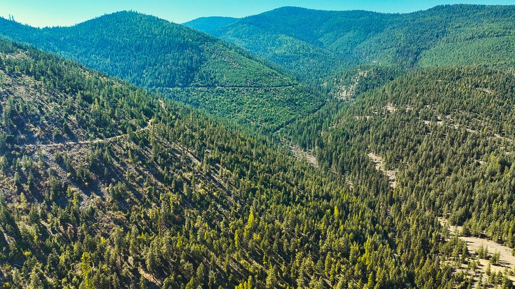 Nhn Bulls & Bucks Ranch, Plains, MT 59859 photo 63