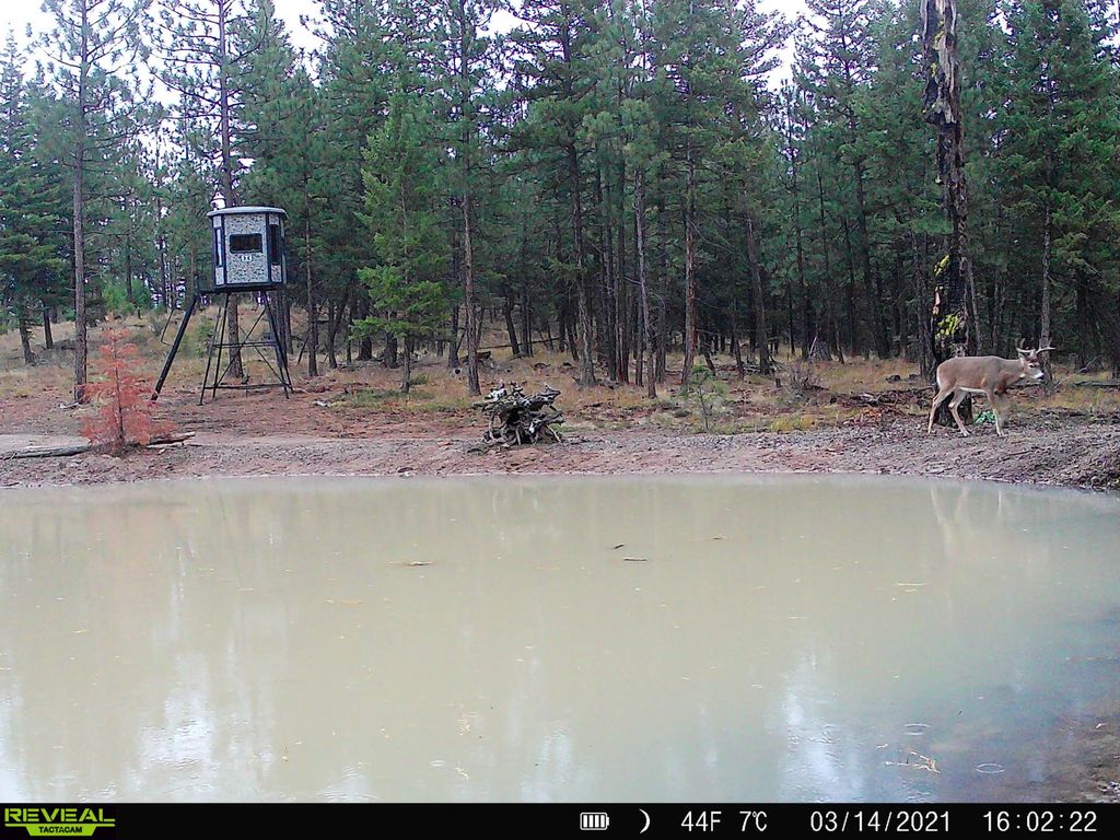 Nhn Bulls & Bucks Ranch, Plains, MT 59859 photo 96