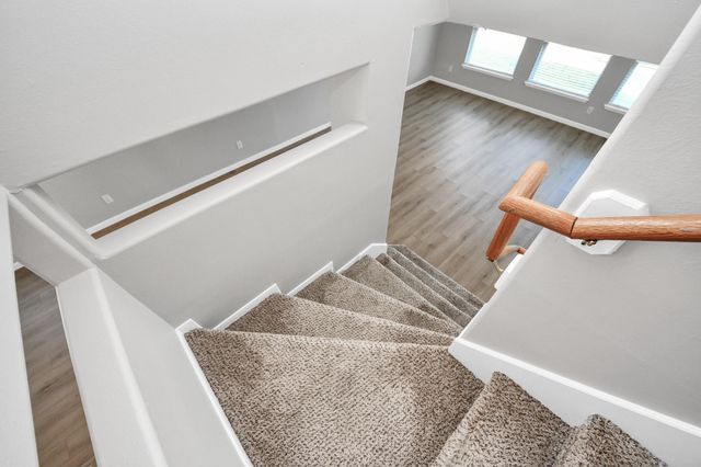 2438 Glenholly Park Drive, Sugar Land, TX 77498