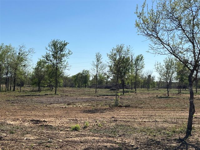 TBD FM 619, Thrall, TX 76578