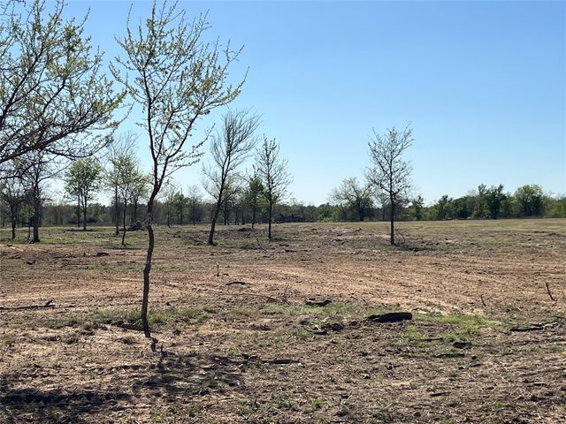 TBD FM 619, Thrall, TX 76578