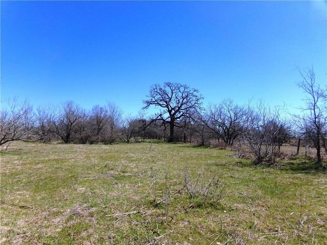 TBD FM 619, Thrall, TX 76578