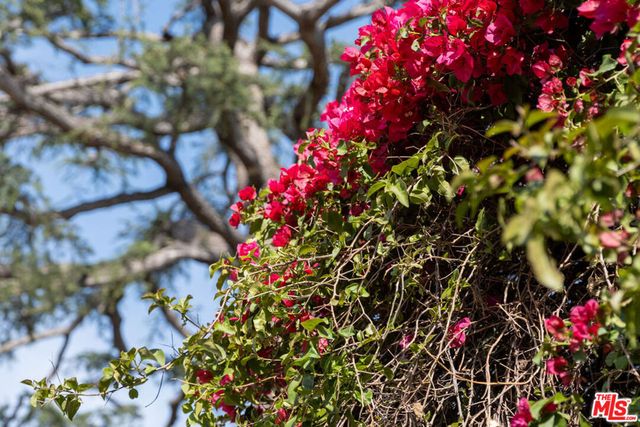 741 N Dillon Street, Los Angeles, CA 90026