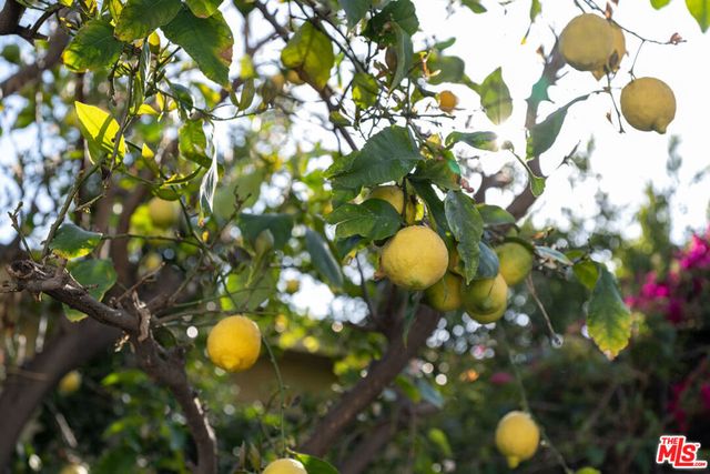 741 N Dillon Street, Los Angeles, CA 90026