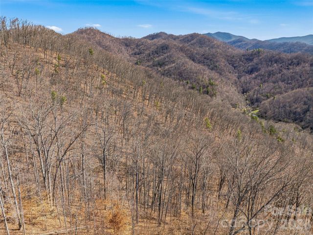 182 Whittemore Branch Road, Barnardsville, NC 28709