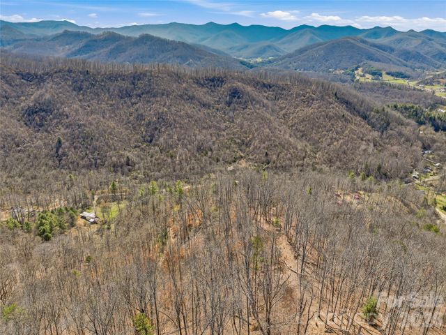 182 Whittemore Branch Road, Barnardsville, NC 28709