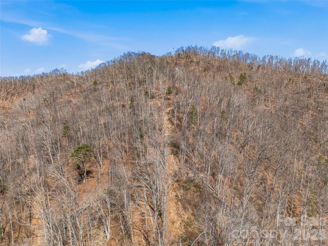 182 Whittemore Branch Road, Barnardsville, NC 28709