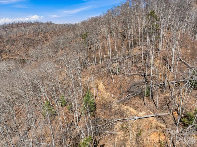 182 Whittemore Branch Road, Barnardsville, NC 28709