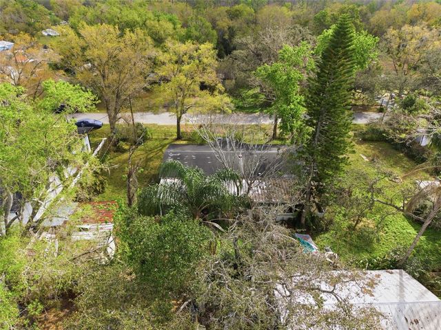 12302 PITTSFIELD AVENUE, Tampa, FL 33624