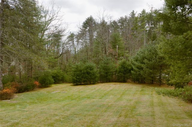 3 Corkscrew Road, Barryville, NY 12719