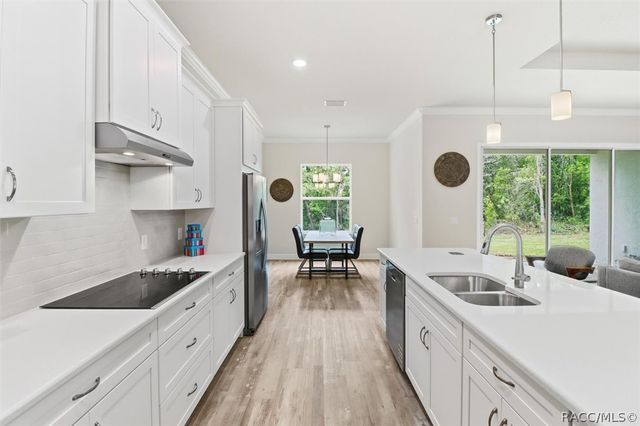 1421 St James Loop, Inverness, FL 34453