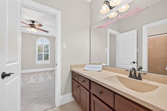 28210 Wild Mustang Lane, Fulshear, TX 77441