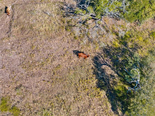 TBD County Road 185, Anderson, TX 77830