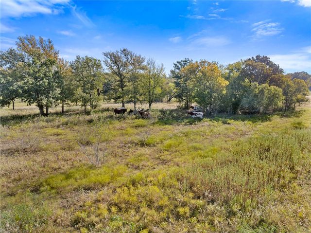 TBD County Road 185, Anderson, TX 77830