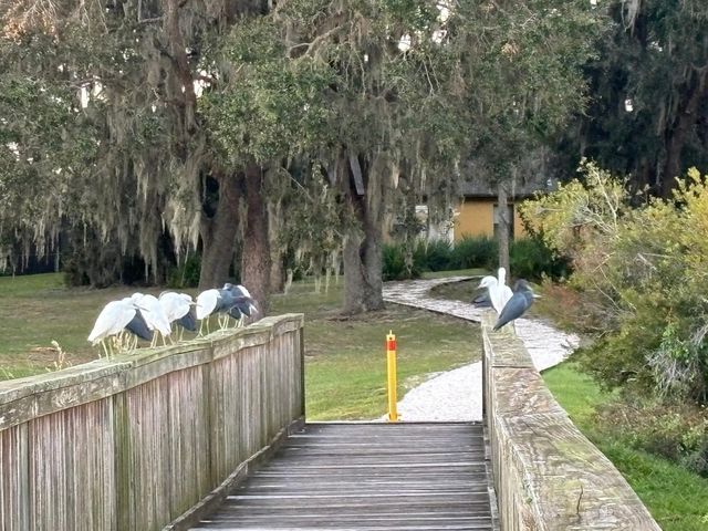 521 VISTA SOL DRIVE, Davenport, FL 33837