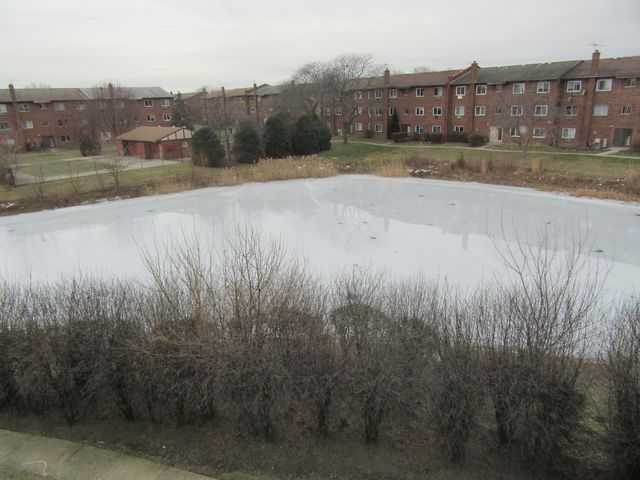 135 Pickwick Drive E, Schaumburg, IL 60193