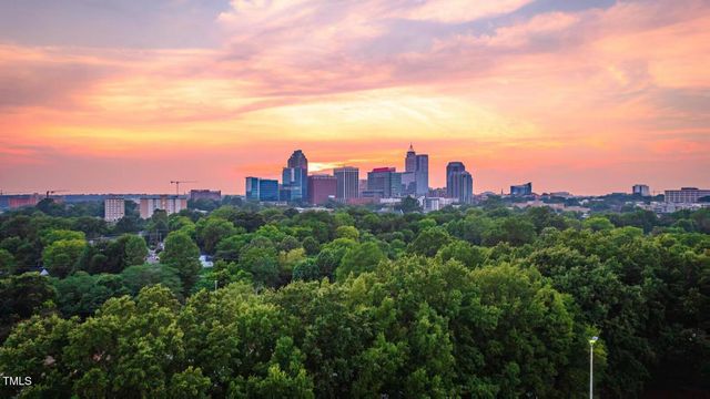 1103 Alfonso Lane Dt-D2, Durham, NC 27703