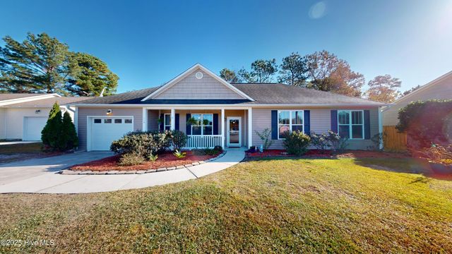 119 Boysenberry Fields Road, Maple Hill, NC 28454