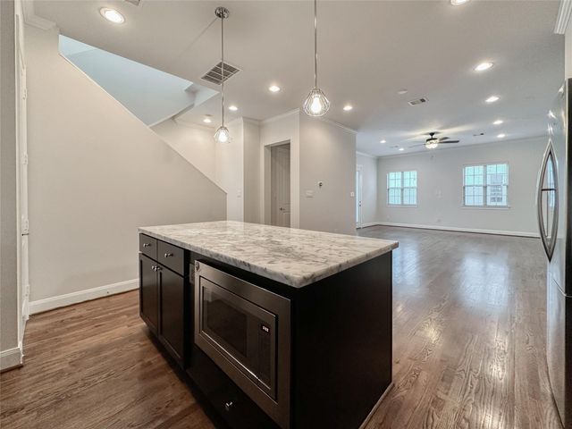 10 Hermann Park Court, Houston, TX 77021