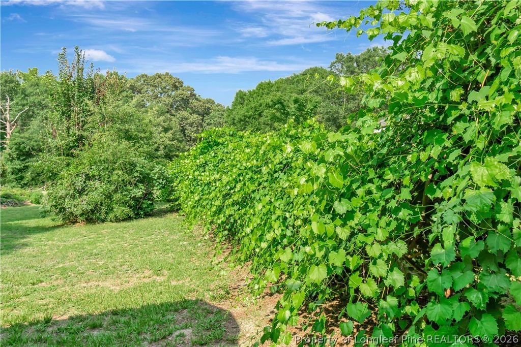 591 E Great Marsh Church Road, St Pauls, NC 28384 — photo 27
