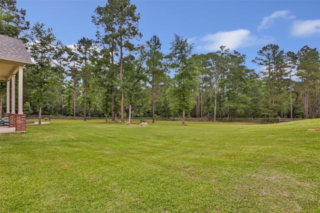 229 Sundog Road, Huntsville, TX 77340