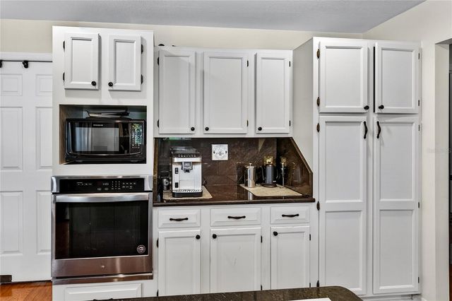 32040 CHESTNUT LANE, Sorrento, FL 32776