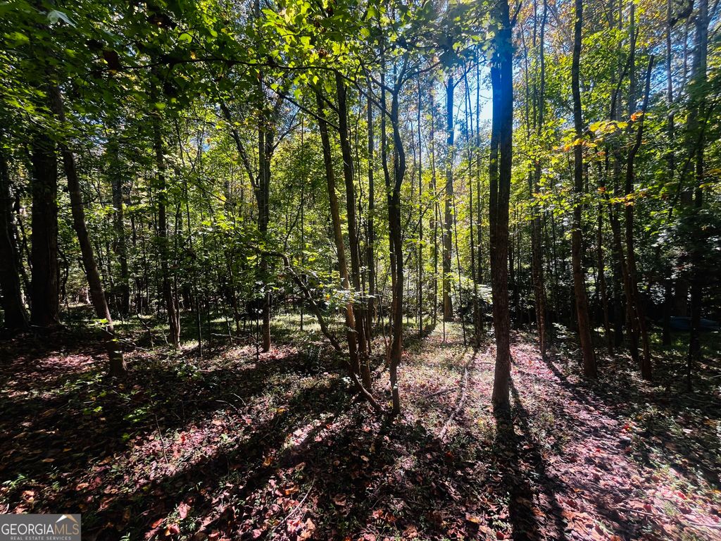 LOT 14 Lakeview Court, Baldwin, GA 30511 — exterior