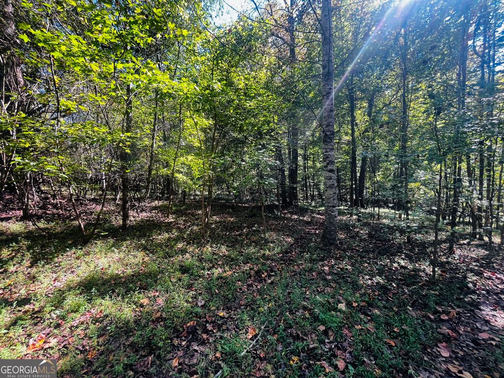 LOT 14 Lakeview Court, Baldwin, GA 30511 — photo 2