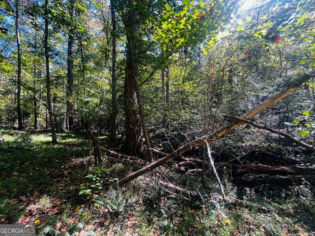 LOT 14 Lakeview Court, Baldwin, GA 30511 — photo 3
