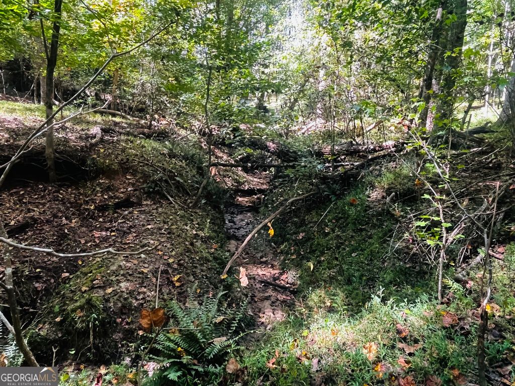 LOT 14 Lakeview Court, Baldwin, GA 30511 — photo 4