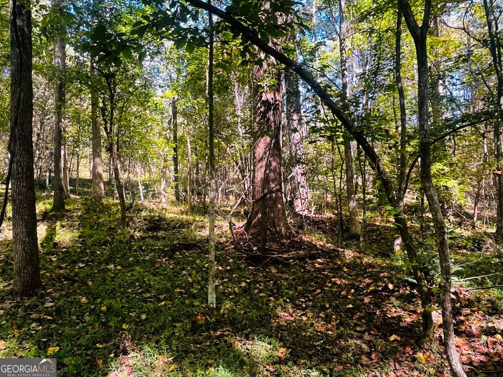 LOT 14 Lakeview Court, Baldwin, GA 30511 — photo 5