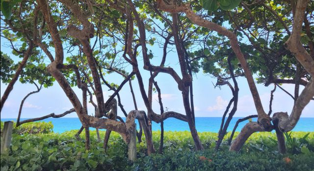 1909 19th Court 33a, Jupiter, FL 33477