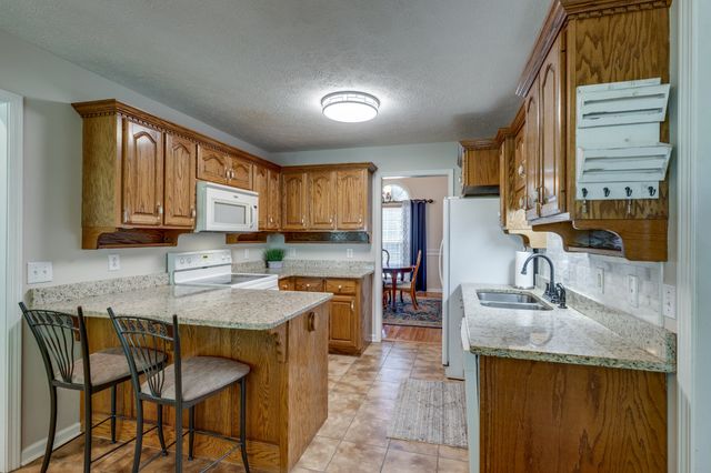 111 Terry Ln, Cottontown, TN 37048