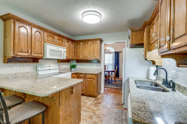 111 Terry Ln, Cottontown, TN 37048