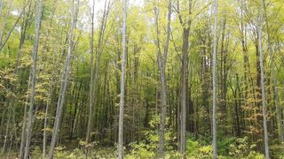 0 Meer Road, Michigan City, IN 46360