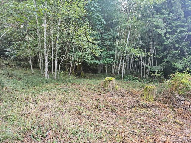 2530 xxx E North Island Drive, Shelton, WA 98584