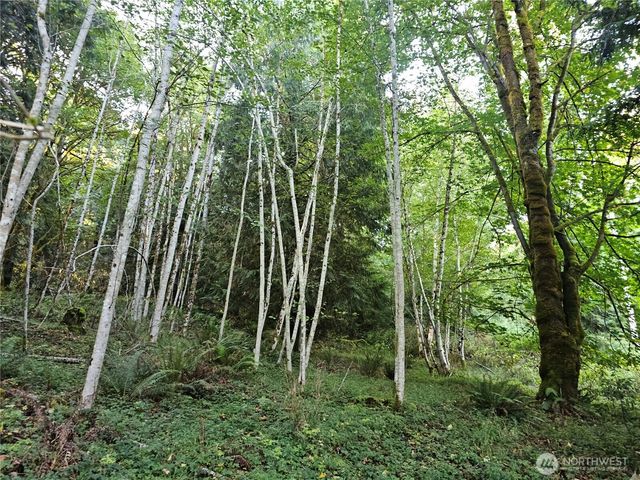 2530 xxx E North Island Drive, Shelton, WA 98584