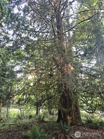 2530 xxx E North Island Drive, Shelton, WA 98584