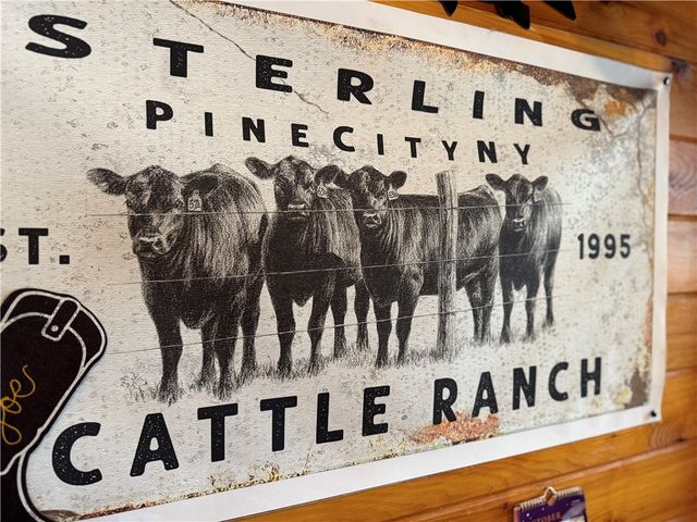 891 Dutch Hill Road, Southport, NY 14871